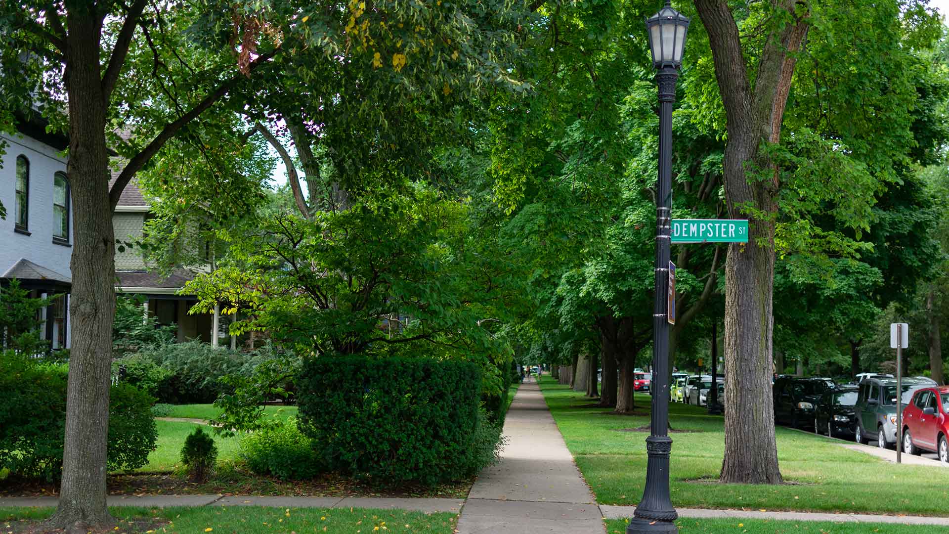 Tree-lined residential street and sidewalk along Dempster Street in Evanston.